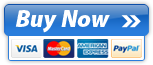 Secure Online Payments and Credit Card Processing